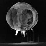image for This is an image of a nuclear explosion in action taken using a Rapatronic camera.