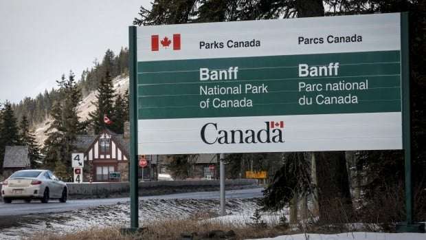 image for Couple dead after bear attack in Banff National Park, grizzly killed