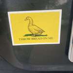 image for Best bumper sticker I’ve seen in a while