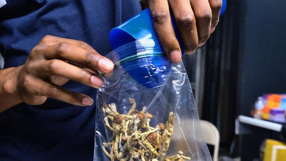 image for California Gov. Gavin Newsom vetoes bill that would have decriminalized psychedelic mushrooms