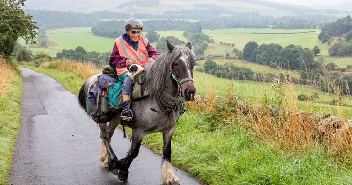 image for Woman, 82, rides pony 600-miles with her beloved dog in saddlebag beside her