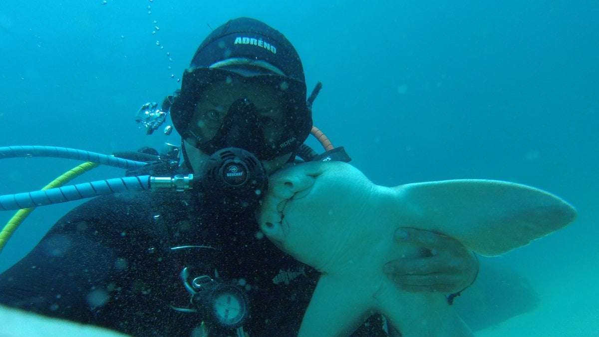 image for Man and his shark best friend are quite the underwater power couple