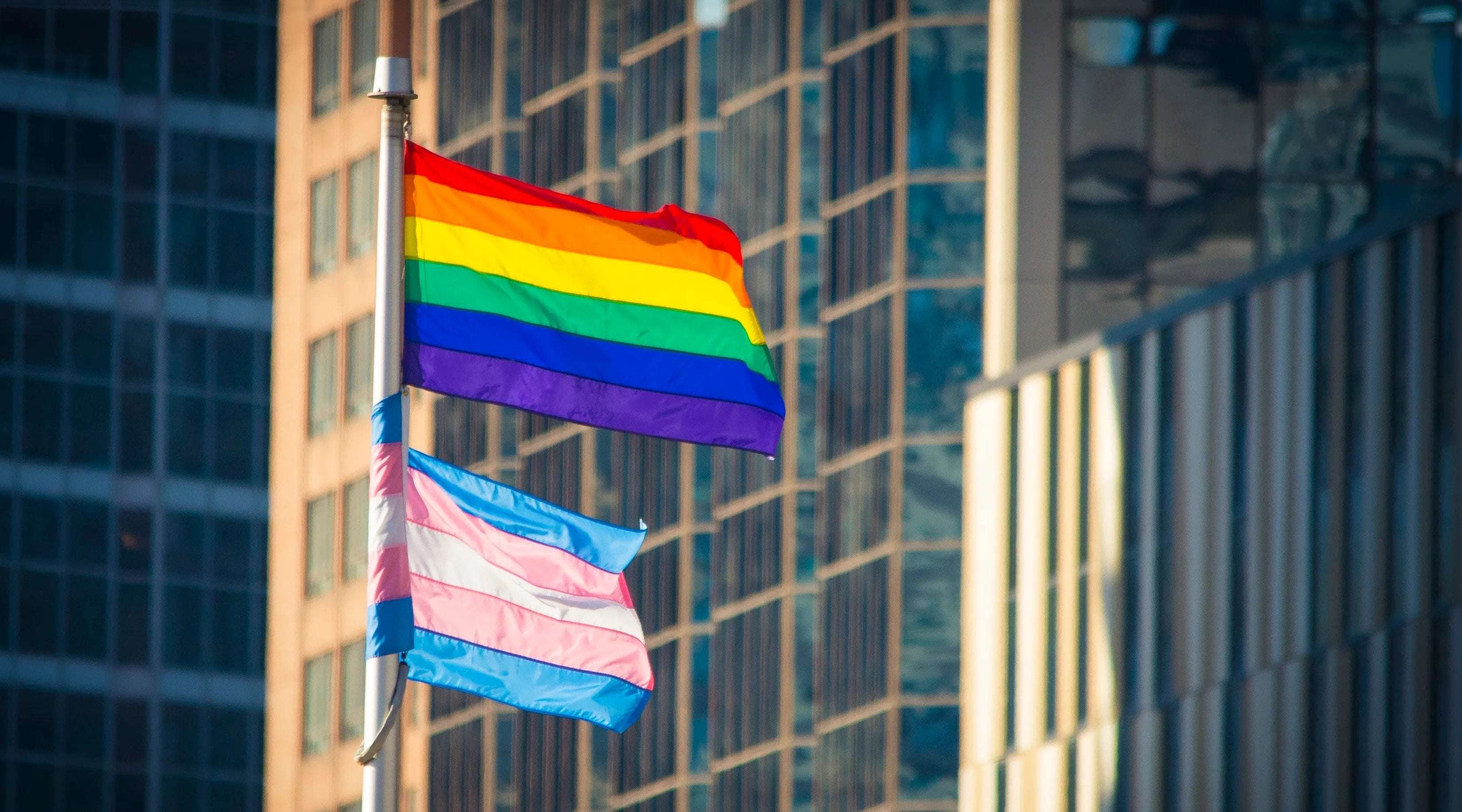 image for Most US voters in favour of introducing more LGBTQ+ protections