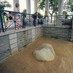 image for The Plymouth Rock is an actual rock, which is kept in a caged exhibit