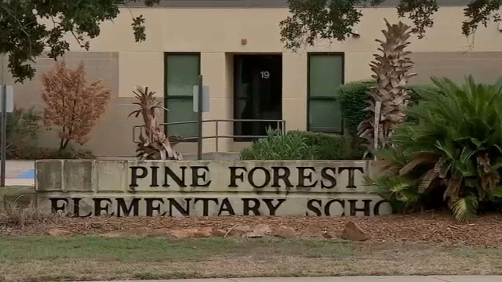 image for Texas kindergarten teacher caught giving melatonin gummies to students in special education class