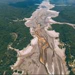 image for Current photo of the black river_ Brazil
