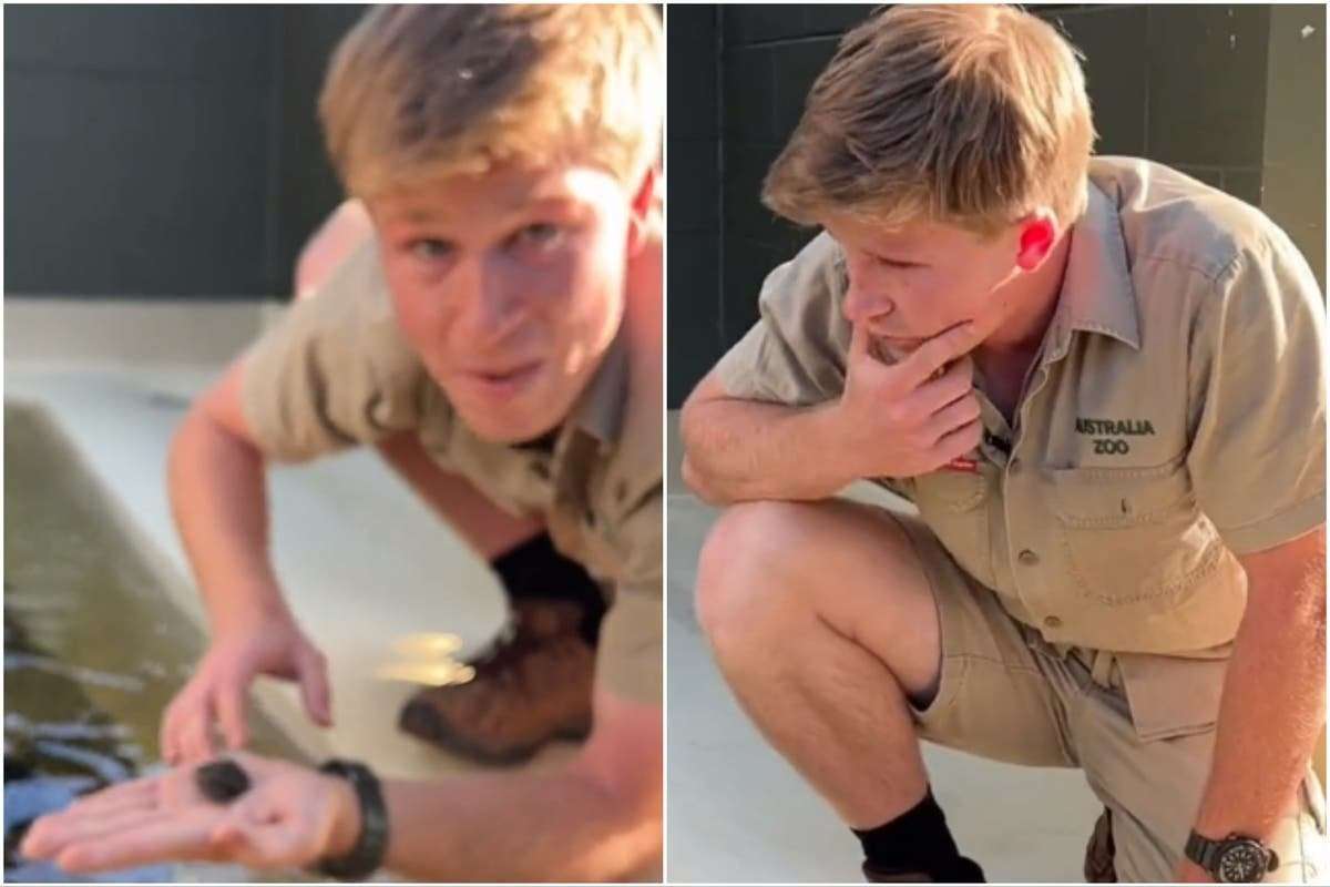 image for Steve Irwin’s son Robert Irwin becomes emotional after breeding rare turtle named after late TV star