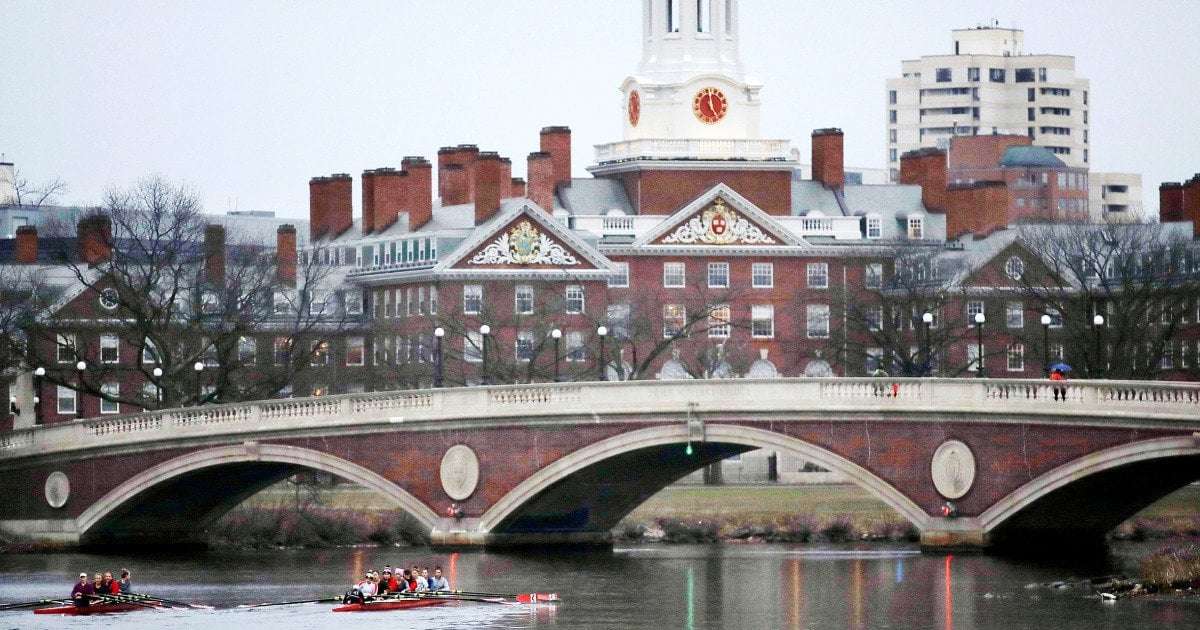 image for Law firm rescinds job offers over Harvard student Israel letter
