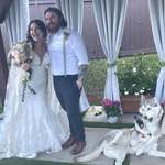 image for I got married this weekend and my dogs were part of the wedding