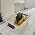 image for A fish getting in a MRI machine