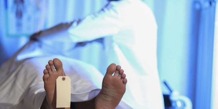 image for Stench leads officials to 189 rotting corpses at taxidermist’s funeral home