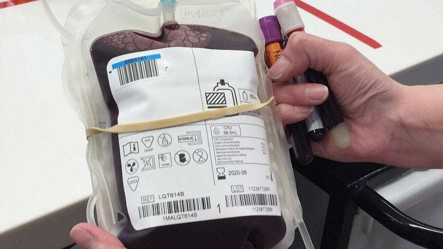 image for NSW court allows health officials to give blood transfusion to Jehovah's Witness toddler