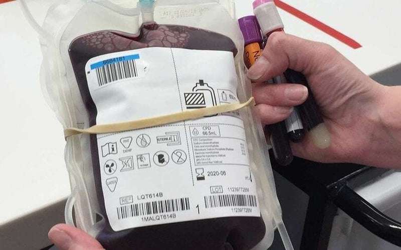 image for NSW court allows health officials to give blood transfusion to Jehovah's Witness toddler