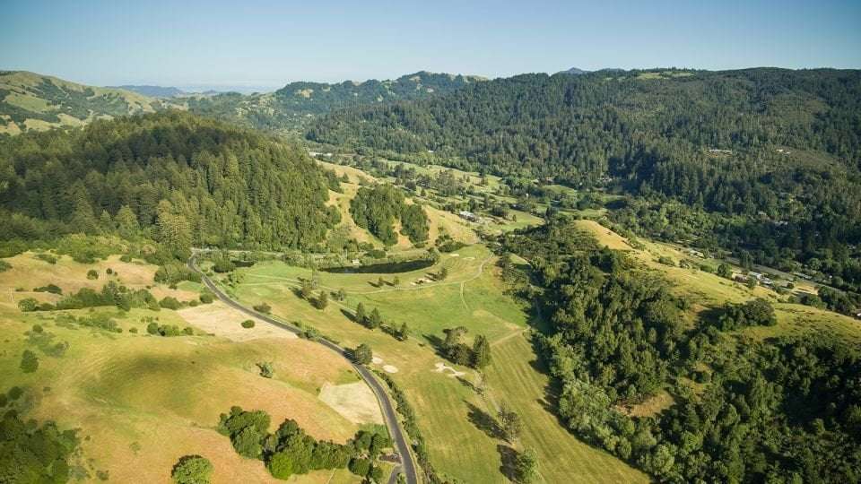image for Abandoned golf courses are being reclaimed by nature