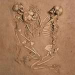 image for Woman & her children died & buried on a bed of flowers 5000 years later found, still holding hands