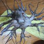 image for An octopus found in the waters of South Korea with 32 tentacles