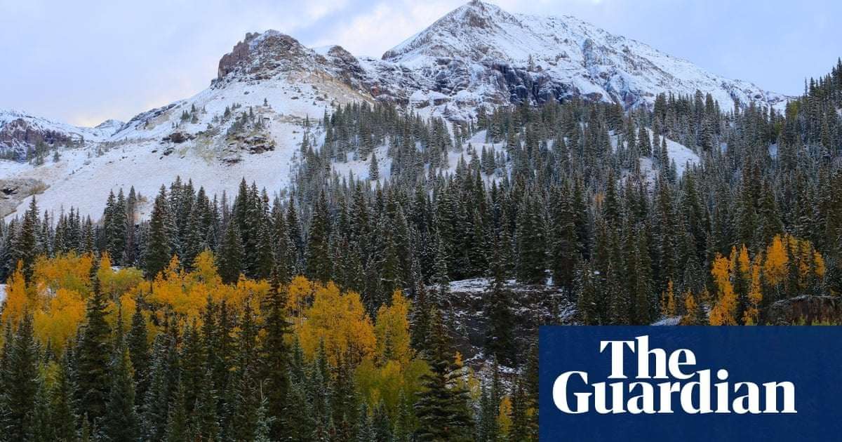 image for Body of missing hiker found in Colorado mountains with his dog alive by his side