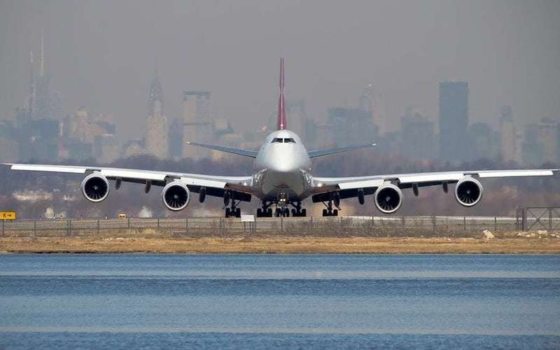 image for Plane forced to return to JFK Airport after horse on board gets loose