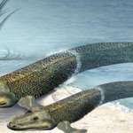 image for My grandparents headed to the beach 500 million years ago.