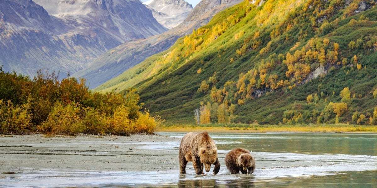 image for An American woman said she was shocked to discover that Alaska isn't actually an island, calling for an 'overhaul' of the school curriculum