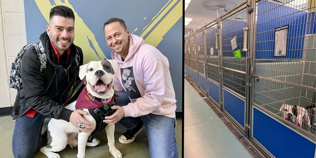 image for Elvis, only dog not adopted at shelter’s adoption event, gets forever home