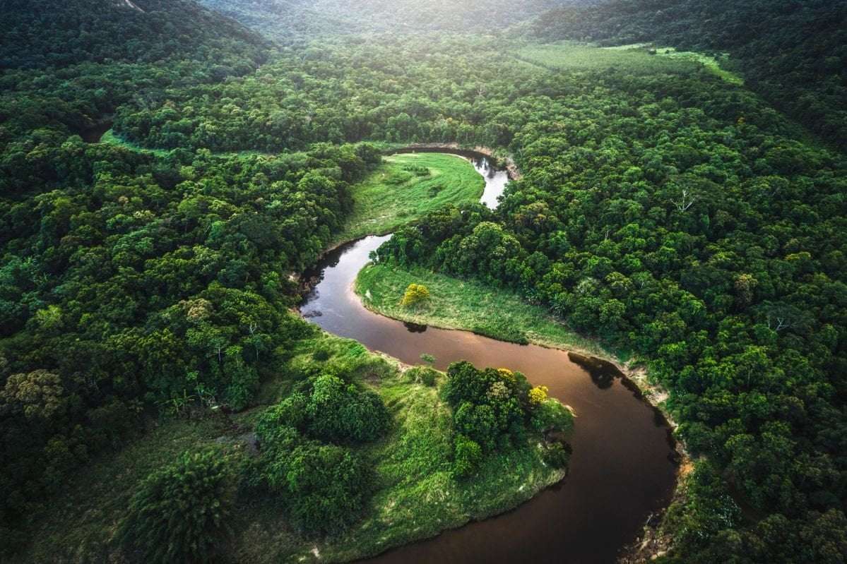 image for Two Lost Cities Hidden For Centuries Were Just Discovered In Bolivia