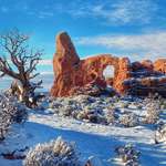 image for Arches National Park in the snow