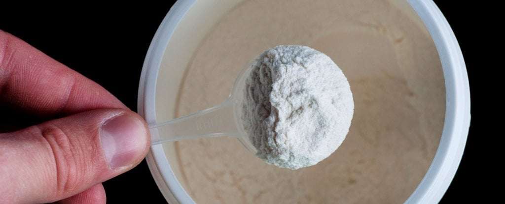 image for Cutting Back on One Amino Acid Increases Lifespan of Middle-Aged Mice Up to 33%