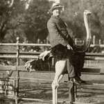 image for My great-grandfather at the Cawston Ostrich Farm in South Pasadena, California, ca 1920.