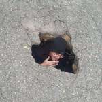image for Heres me in the neighborhood pothole
