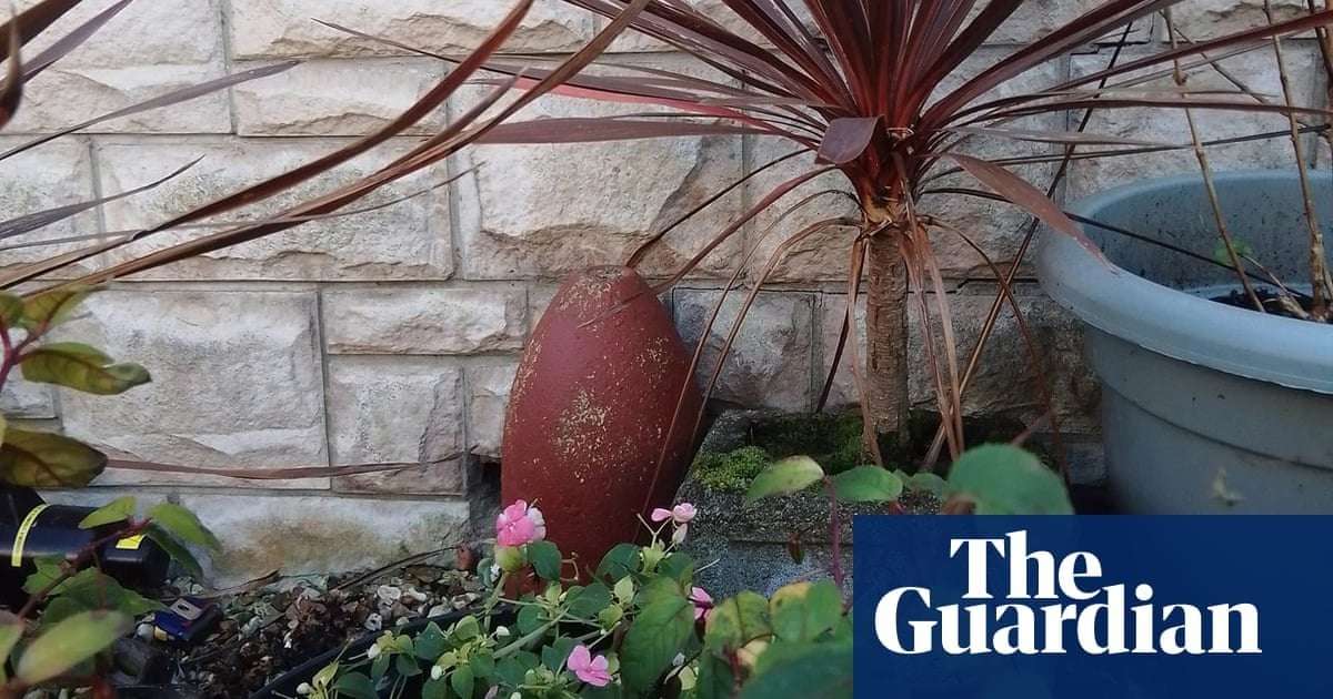 image for Welsh couple bereft after bomb squad detonate ornamental garden missile