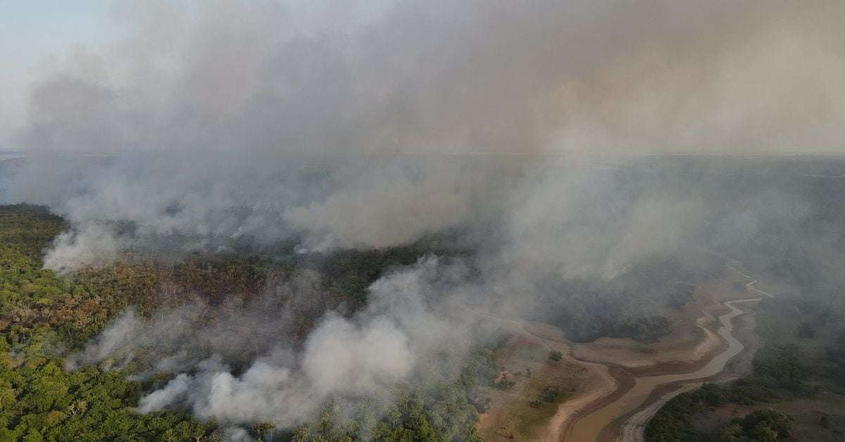 image for Brazil launches $204 million drive to restore Amazon rainforest