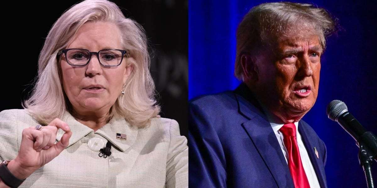 image for Liz Cheney warns that Trump won't leave office if he's elected to a second term and says voting for him 'may mean the last election that you ever get to vote in'
