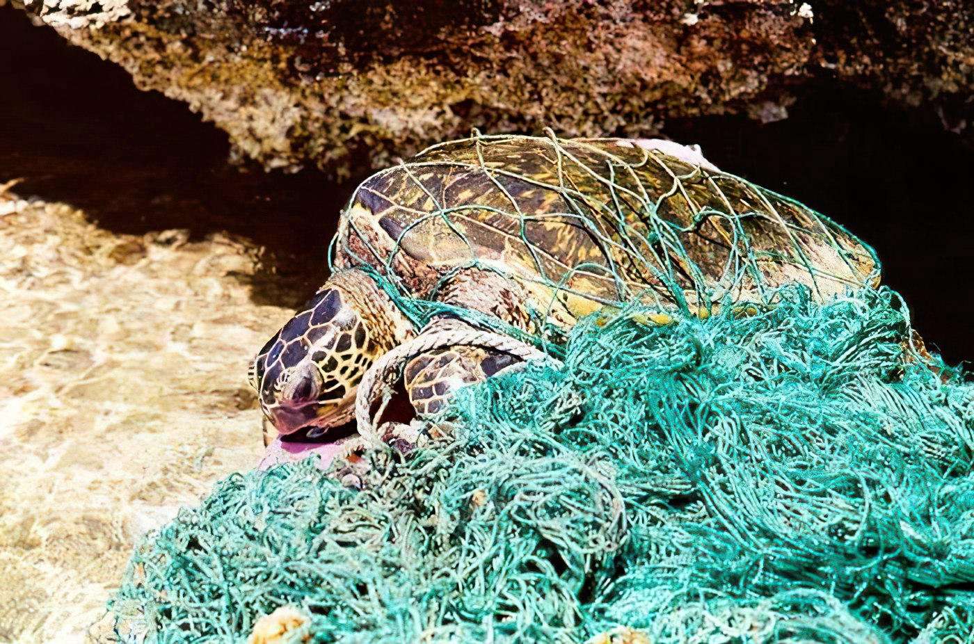 image for New Catalyst Completely Breaks Down Durable Plastic Pollution in Minutes