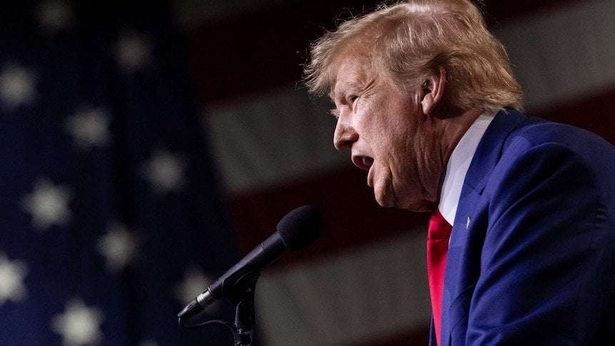 image for Donald Trump promises 'largest deportation operation in American history' if elected president