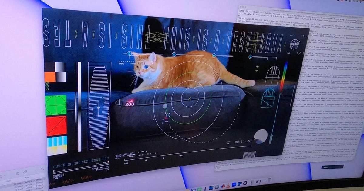 image for NASA uses laser to send video of a cat named Taters over 19 million miles