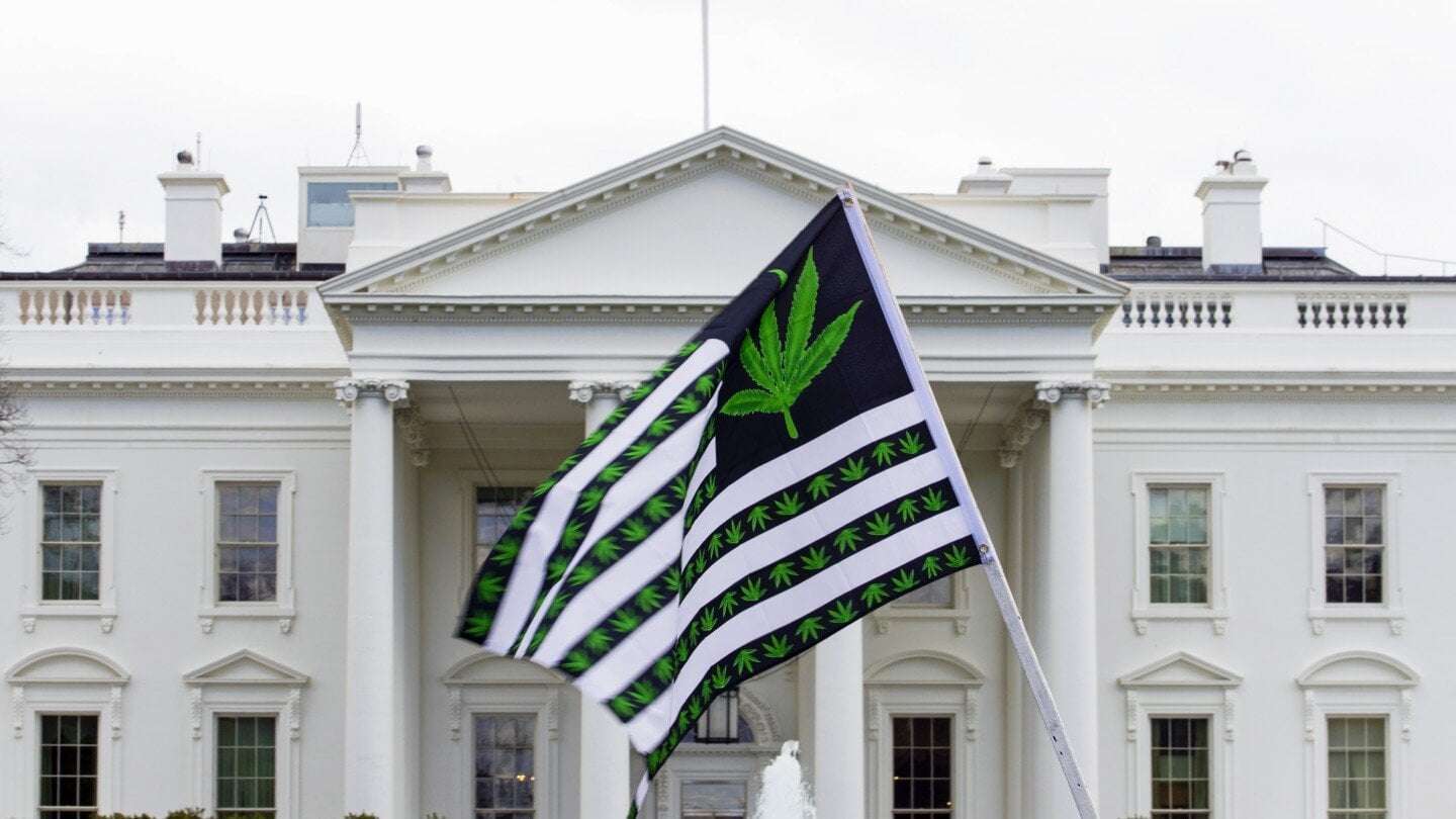 image for Biden pardons thousands convicted of marijuana charges on federal lands and in Washington