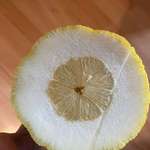 image for I've never been so disappointed by a lemon!