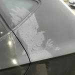 image for An owl holding a mouse crashed into car, imprinted in the morning dew