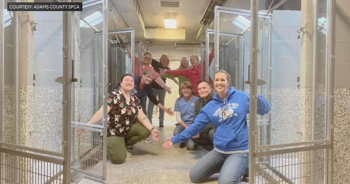 image for Pennsylvania SPCA shelter empties kennels for first time in 47 years: "A true miracle"