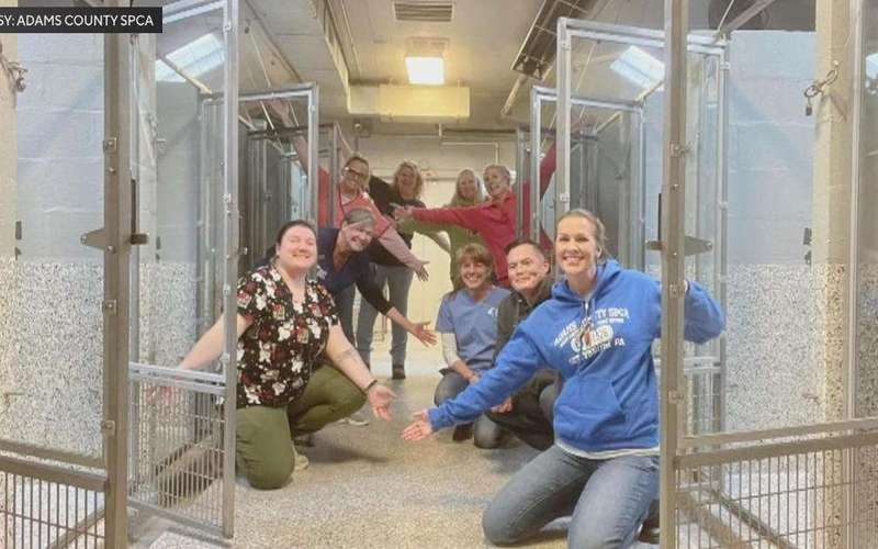 image for Pennsylvania SPCA shelter empties kennels for first time in 47 years: "A true miracle"