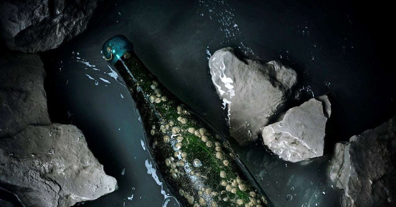 image for Undersea-Aged Champagne Is Starting to Surface