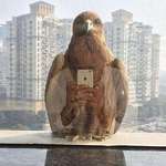 image for The perfect timing of this click looks like an eagle is taking mirror selfie.