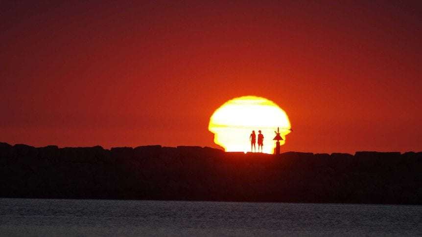 image for Scientists have confirmed 2023 is the hottest year on record, with a month to spare