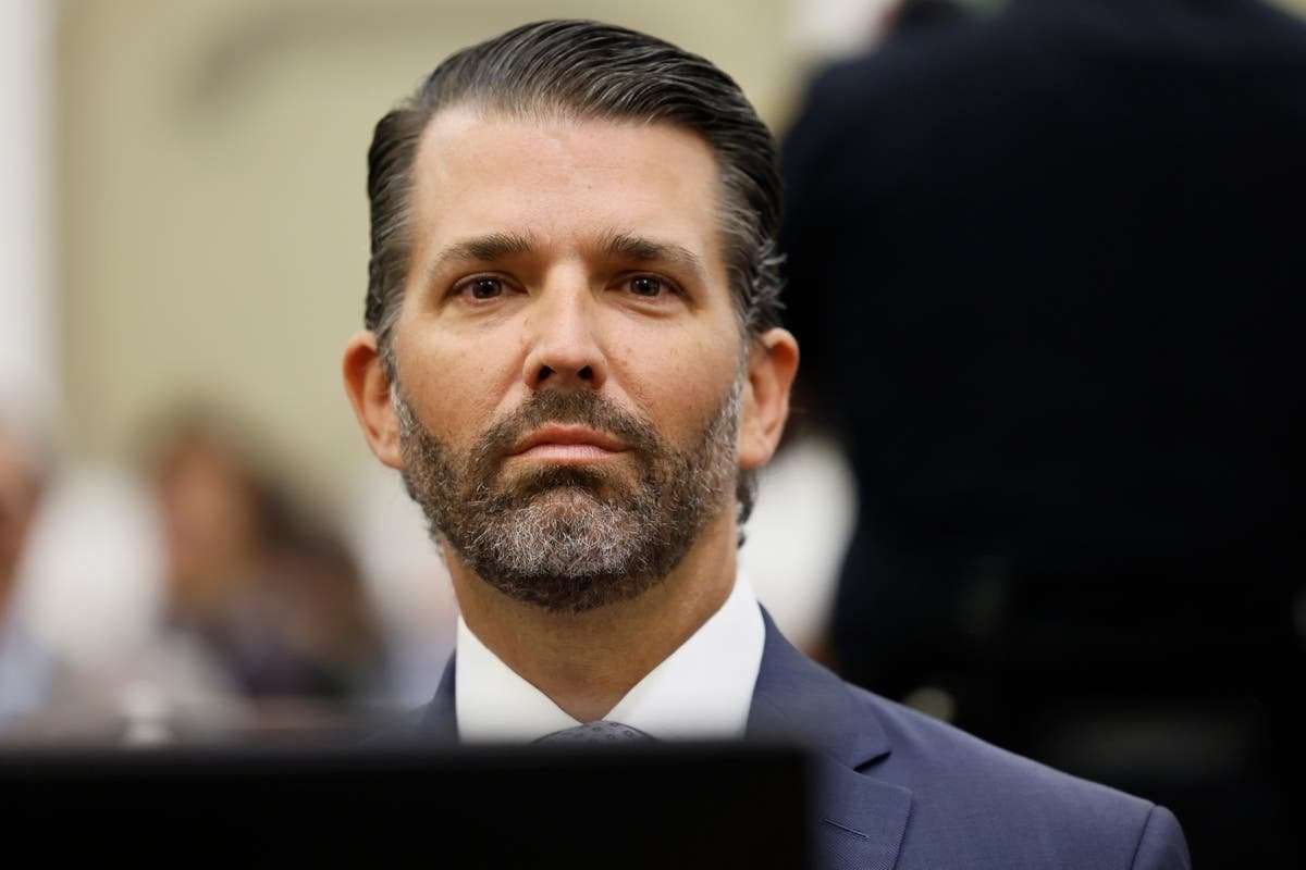 image for Donald Trump Jr mocked for celebratory response to Epstein document drop