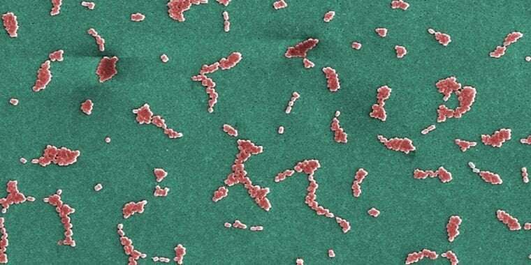 image for Experimental antibiotic kills deadly superbug, opens whole new class of drugs