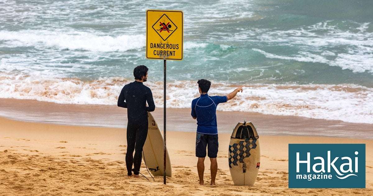 image for Surfers to the Rescue