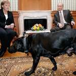 image for After Putin learned that Angela Merkel was afraid of dogs he deliberately brought one into a meeting