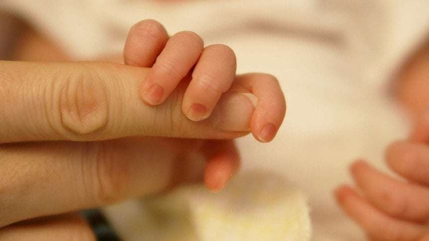 image for WA woman, 62, granted court permission to have dead husband's sperm extracted