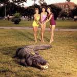 image for Female students walk the live mascot of the University of Florida,1960s.